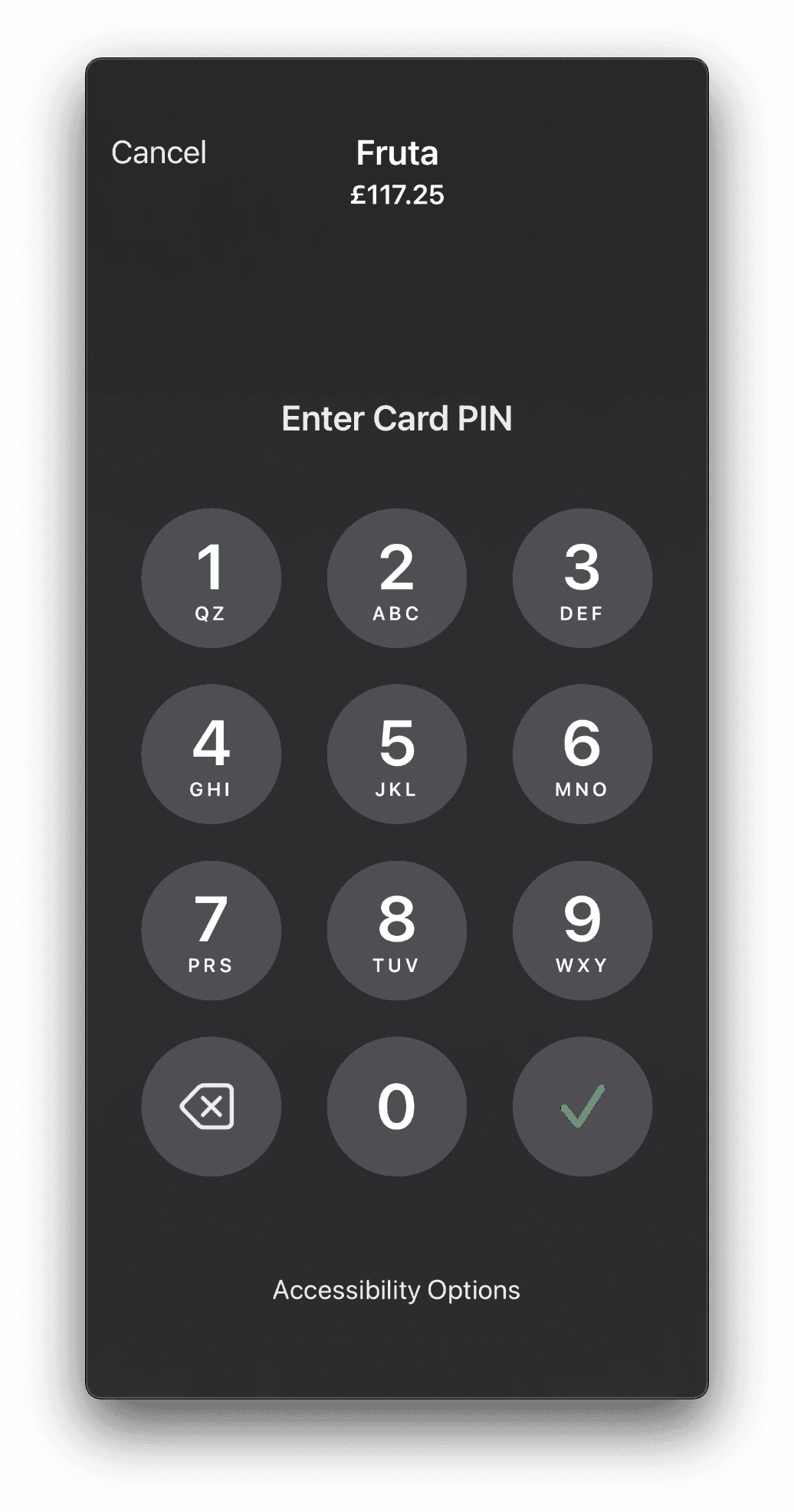 Some payments may require PIN confirmation to validate. At the bottom of the screen there is an option to activate accessibility options.